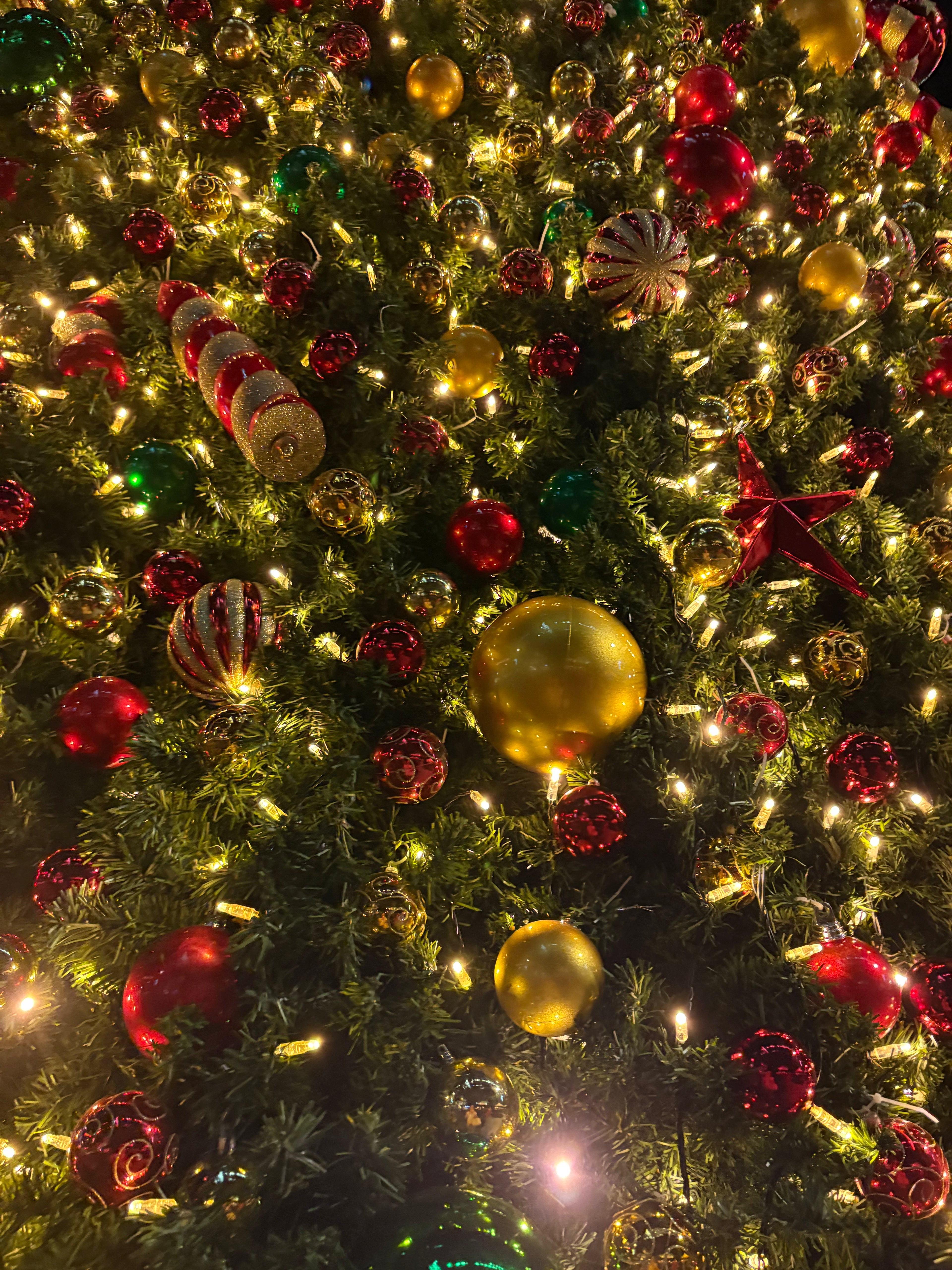 Sydney Santa Christmas Tree